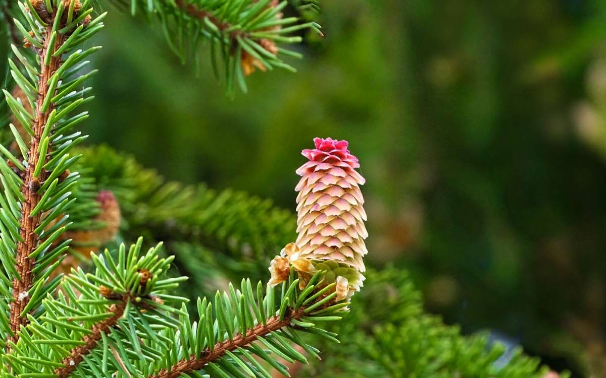 ���� ���. ����� �������� �������� �� PhotoGeek.ru #����� #������ ��� �������