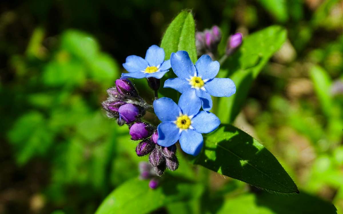 ������ ���������. ����� �������� �������� �� PhotoGeek.ru #������ ��� �������