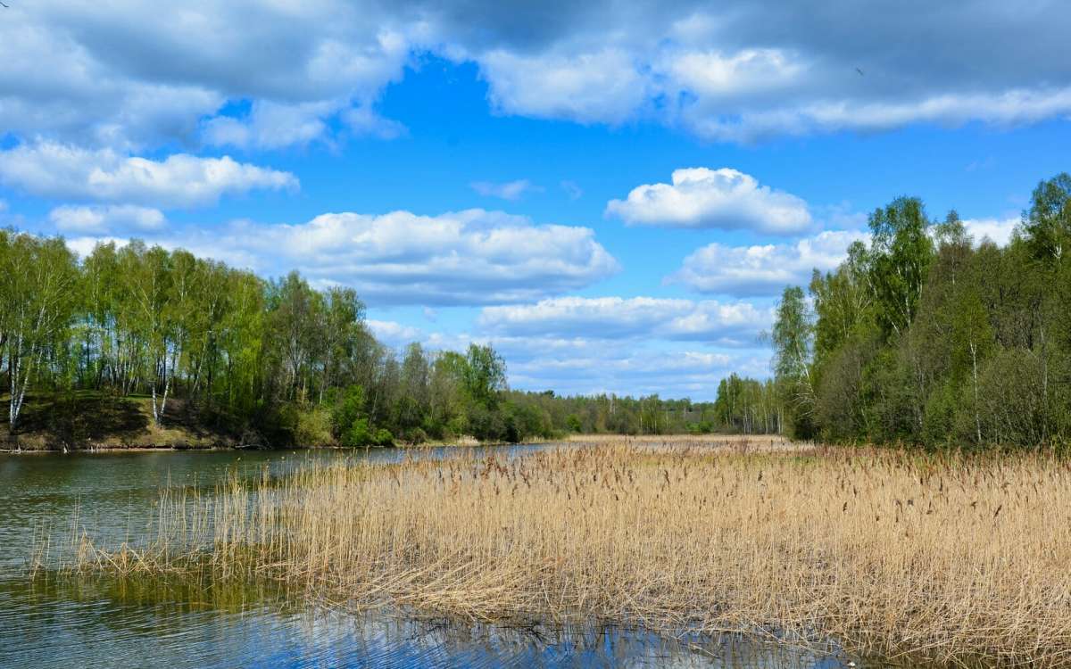 ������� ����������. ����� �������� �������� �� PhotoGeek.ru #������ ��� �������