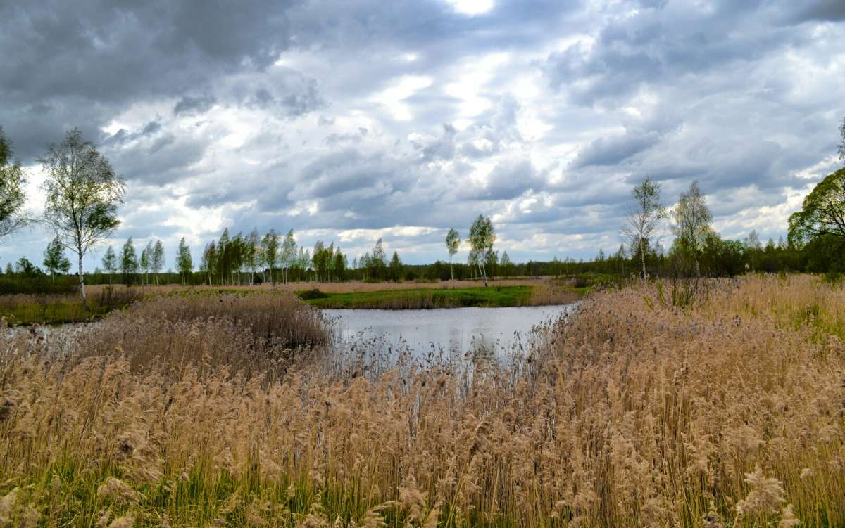 ���������� �����. ����� �������� �������� �� PhotoGeek.ru #������ ��� �������