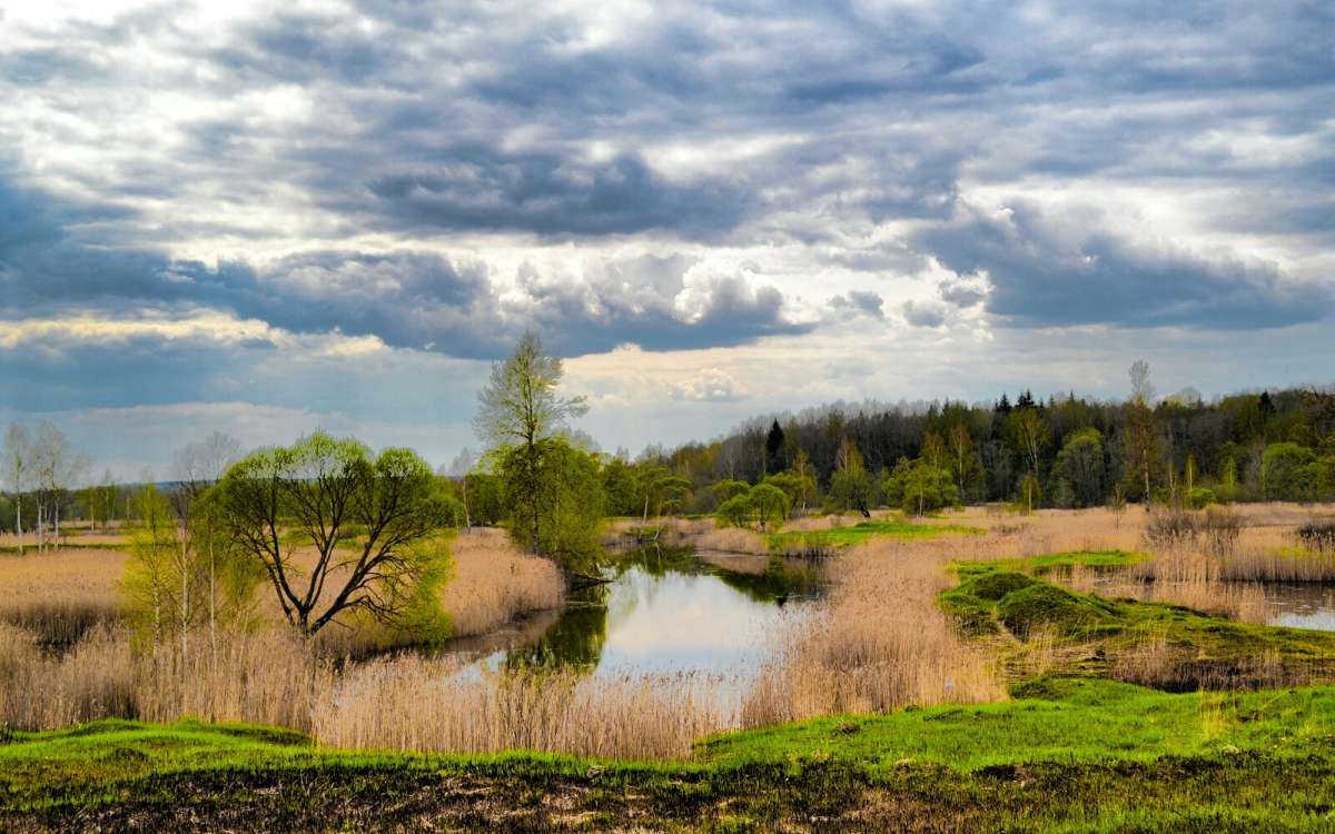 �������� ������. ����� �������� �������� �� PhotoGeek.ru #������ ��� �������
