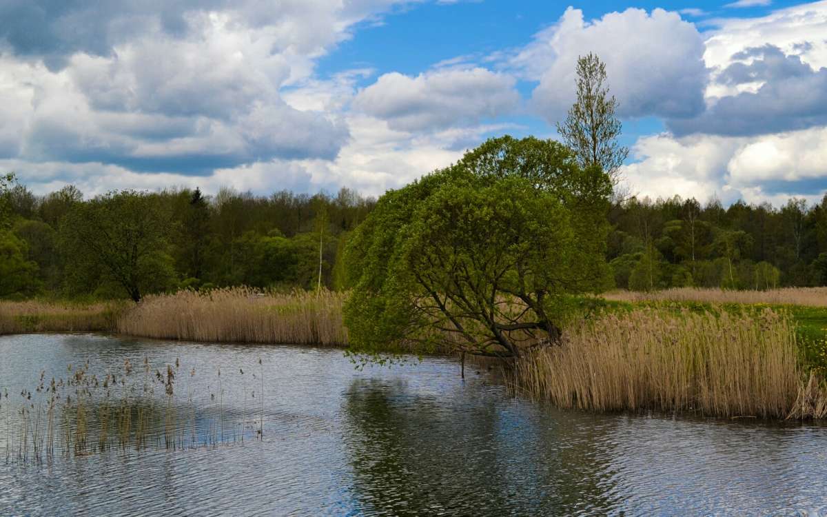 ������� ����������. ����� �������� �������� �� PhotoGeek.ru #������ ��� �������