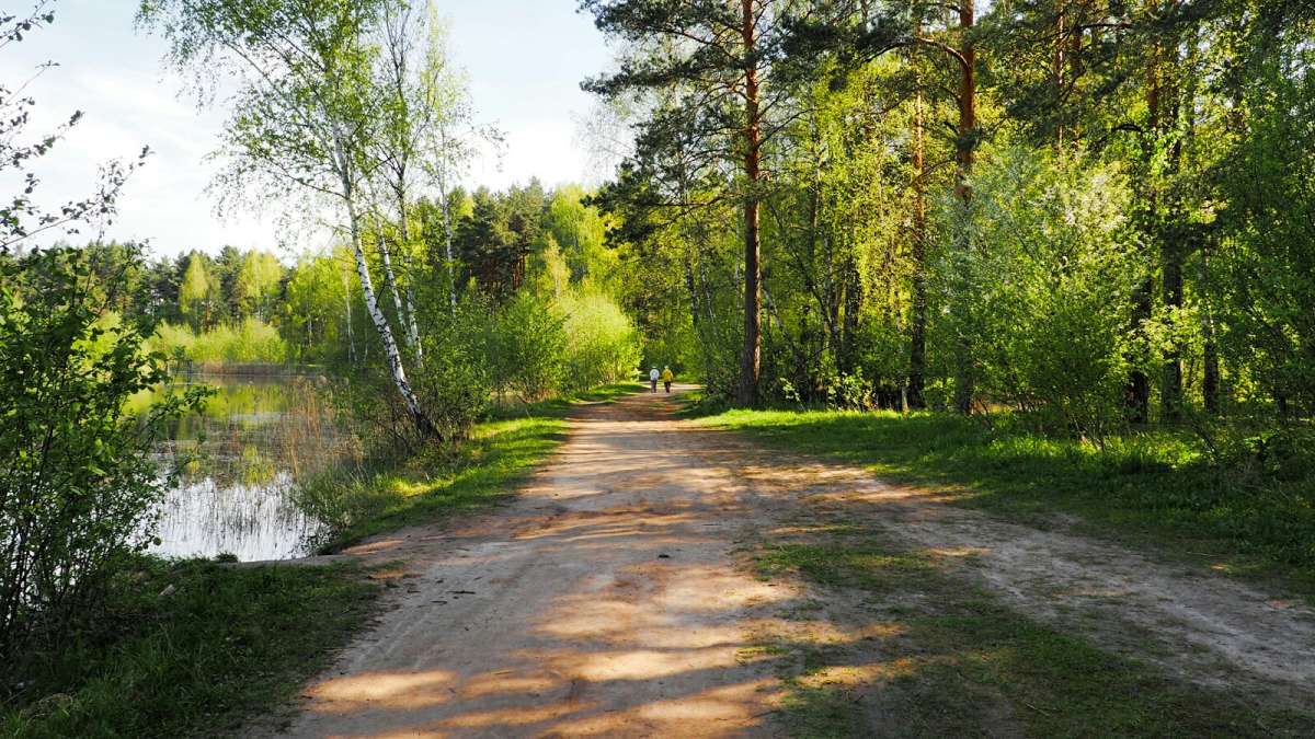 ���������� �����. ����� �������� �������� �� PhotoGeek.ru #������ ��� �������