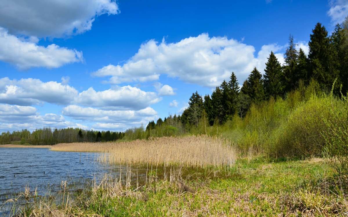 �� ������ ������. ����� �������� �������� �� PhotoGeek.ru #������ ��� �������