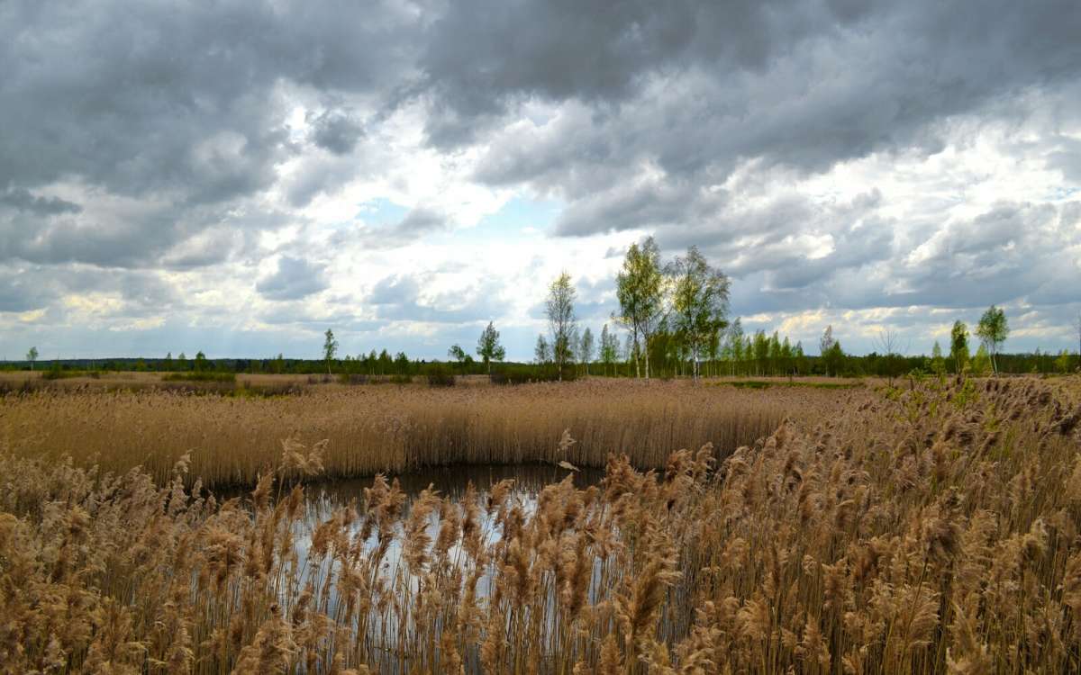 ������� ����������. ����� �������� �������� �� PhotoGeek.ru #������ ��� �������