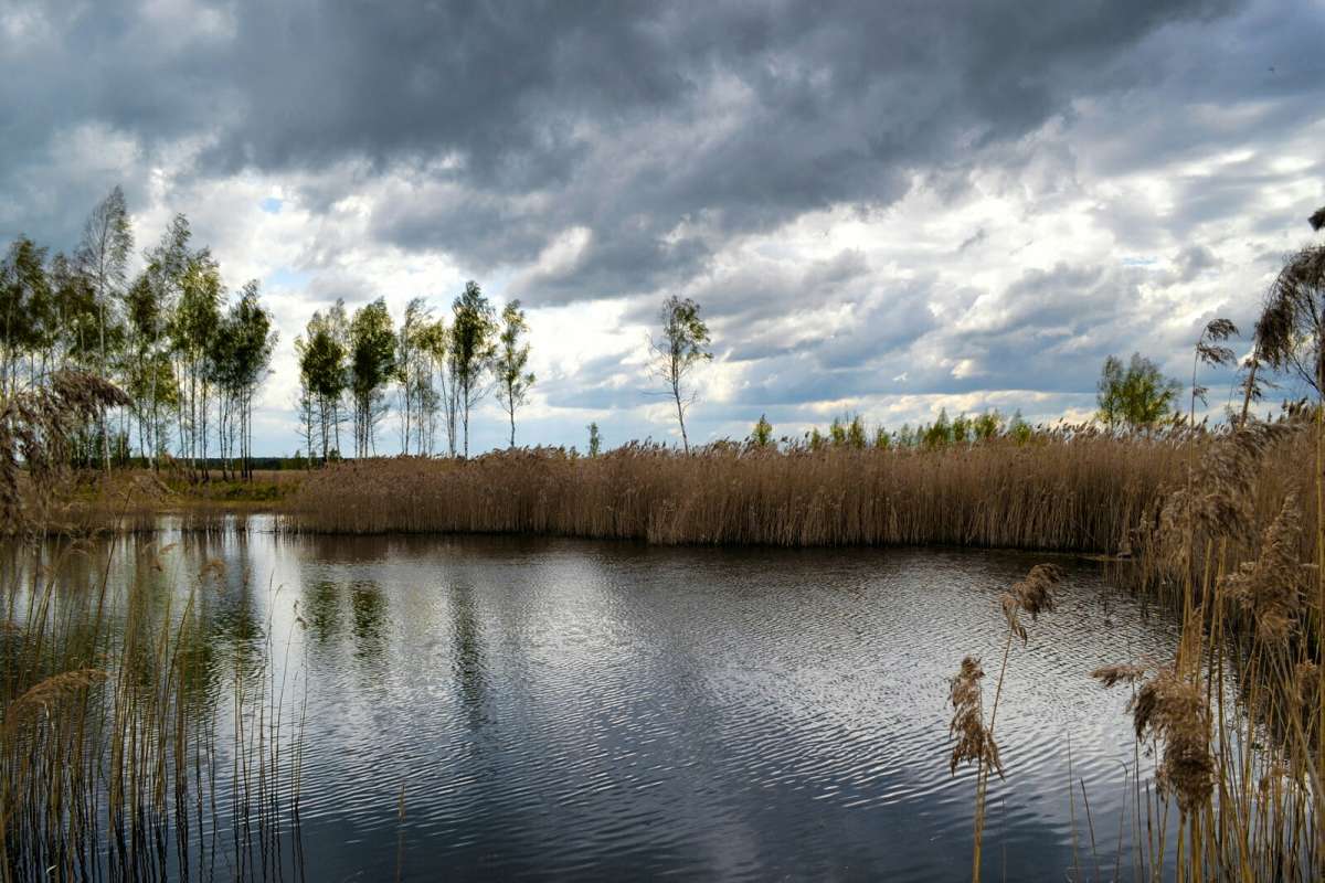 �������. ����� �������� �������� �� PhotoGeek.ru #������ ��� �������