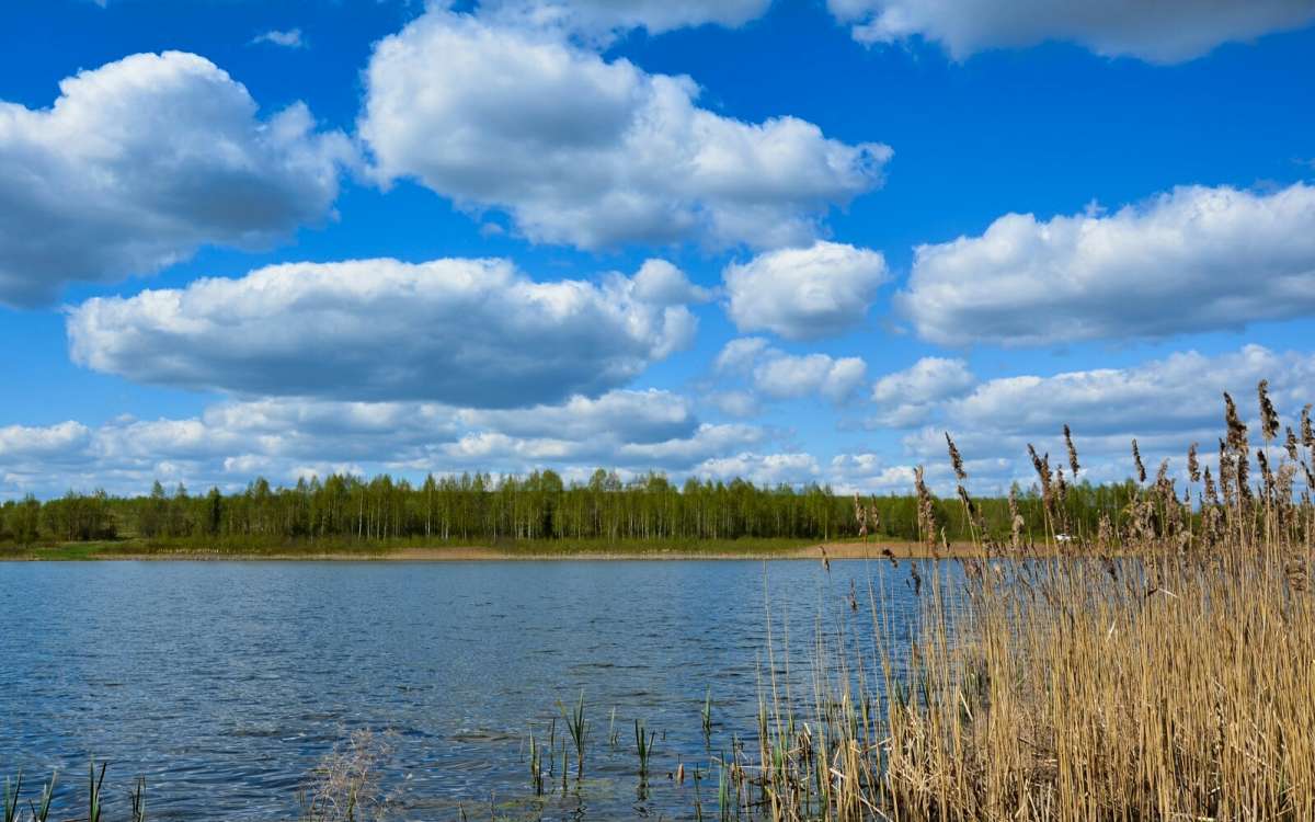 ��� ����. ����� �������� �������� �� PhotoGeek.ru #������ ��� �������