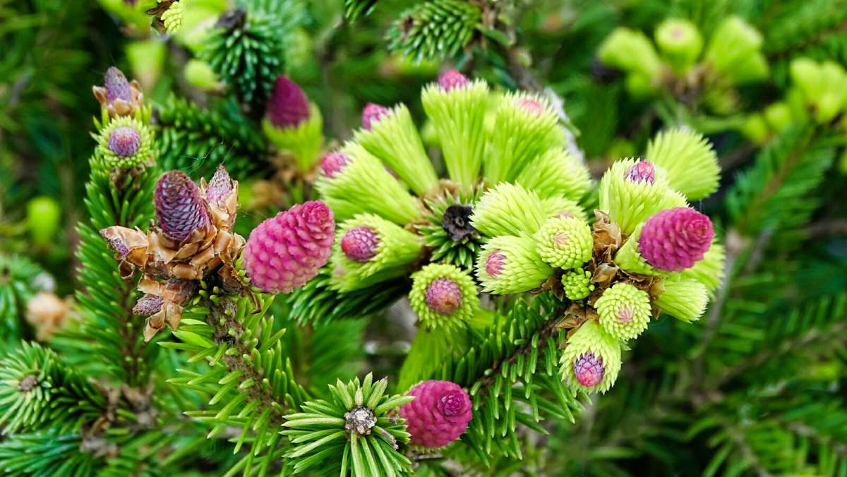 ���� ������� ��������. ����� �������� �������� �� PhotoGeek.ru #����� #�����