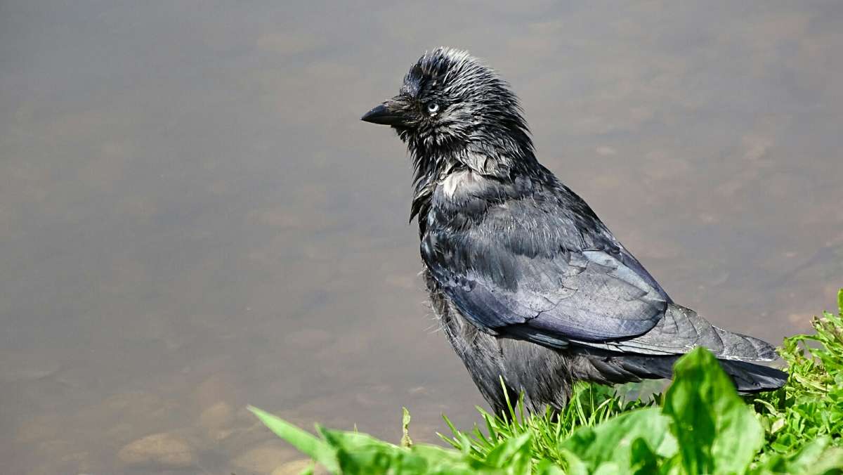 ����� ����� ������ ��������. ����� �������� �������� �� PhotoGeek.ru #����� #�������� ���