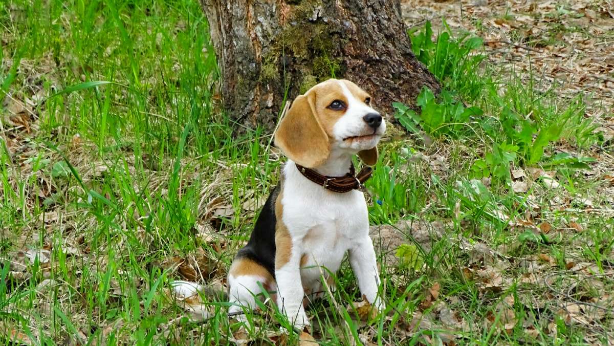 ������ ��. ����� �������� �������� �� PhotoGeek.ru #����� #�������� ���