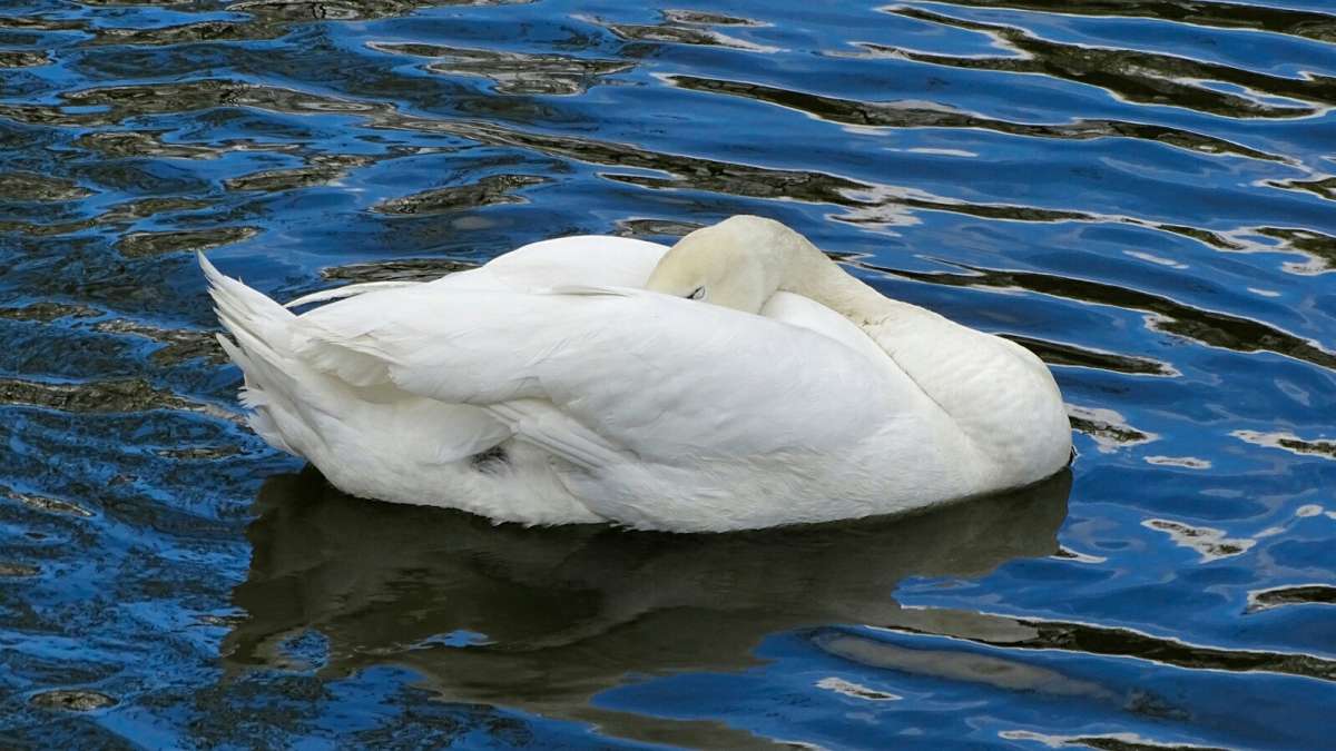 "����� ���� �� ������!" ����� �������� �������� �� PhotoGeek.ru #����� #�������� ���