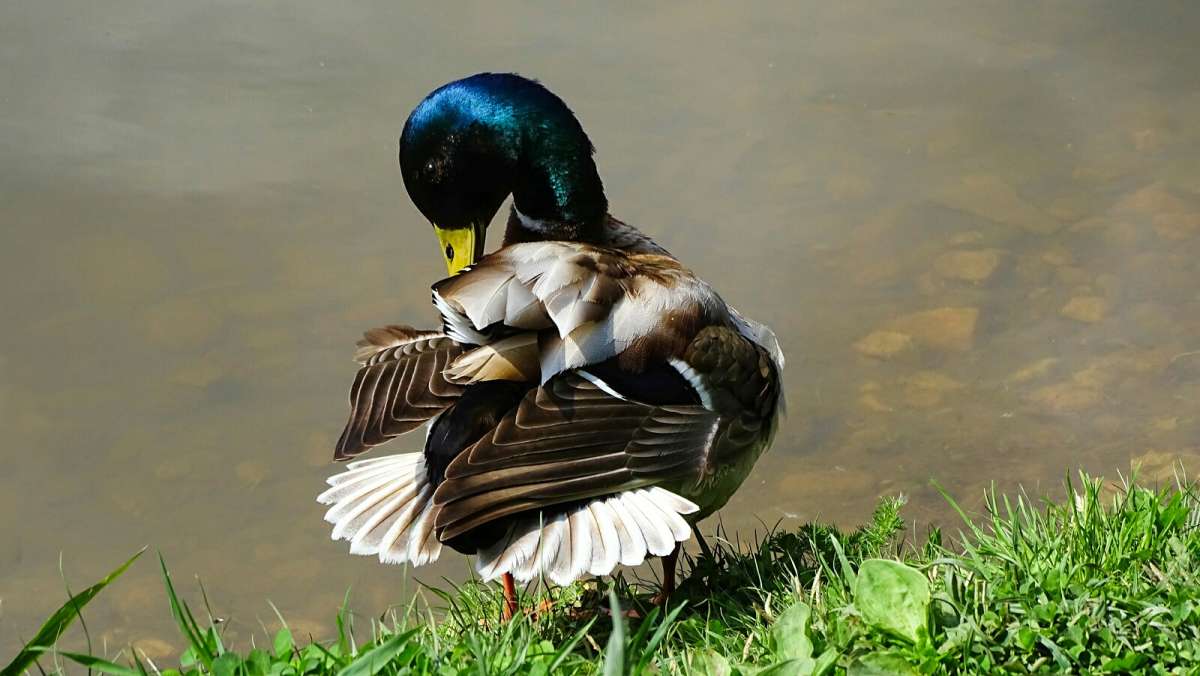 "������ "�����" ���������������. ����� �������� �������� �� PhotoGeek.ru #����� #�������� ���