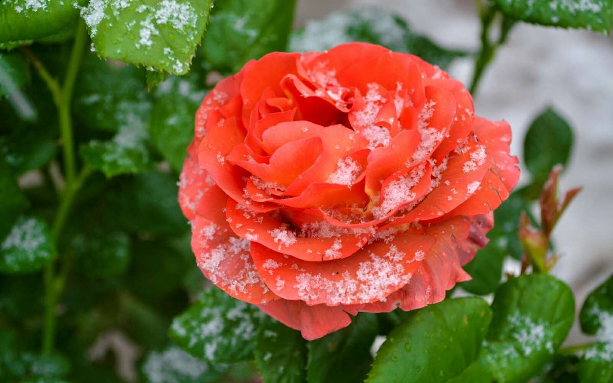 ����� 11 ��� ��� ����. ����� �������� �������� �� PhotoGeek.ru #����� #�����