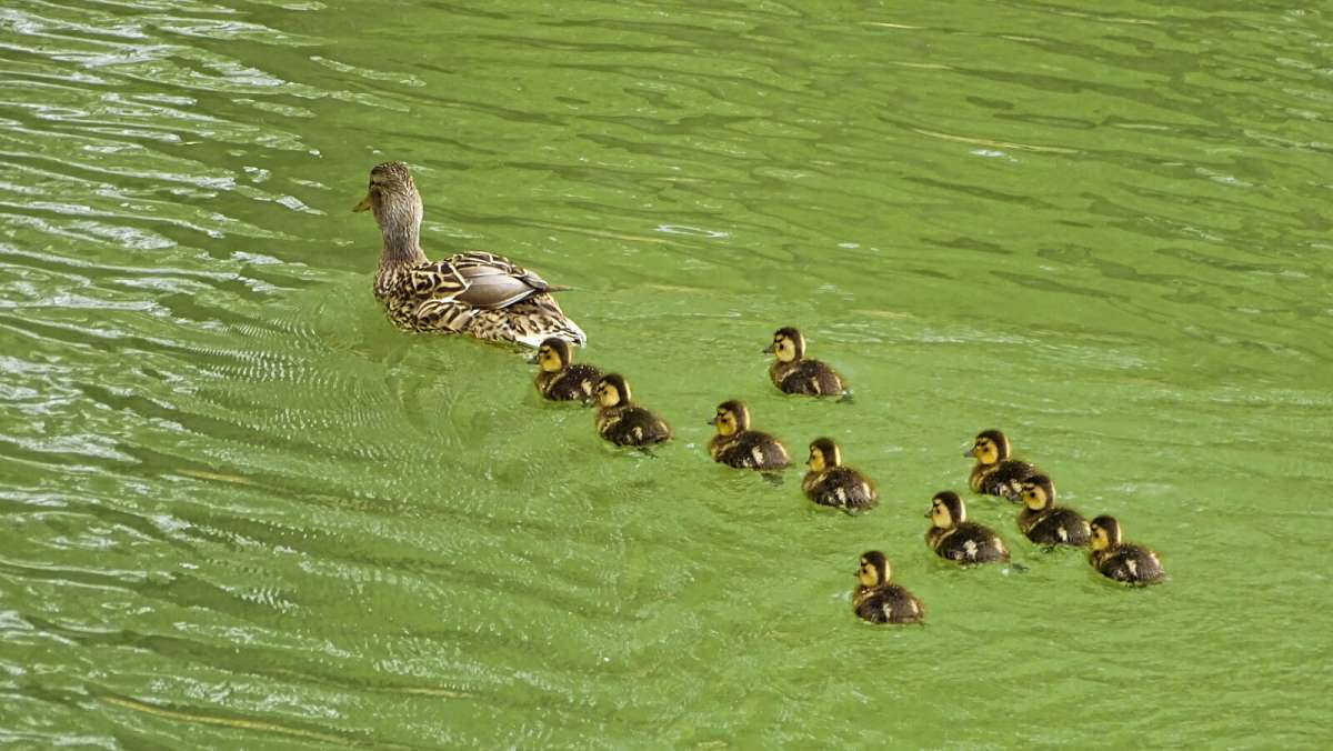 ������ �����. ����� �������� �������� �� PhotoGeek.ru #����� #�������� ���