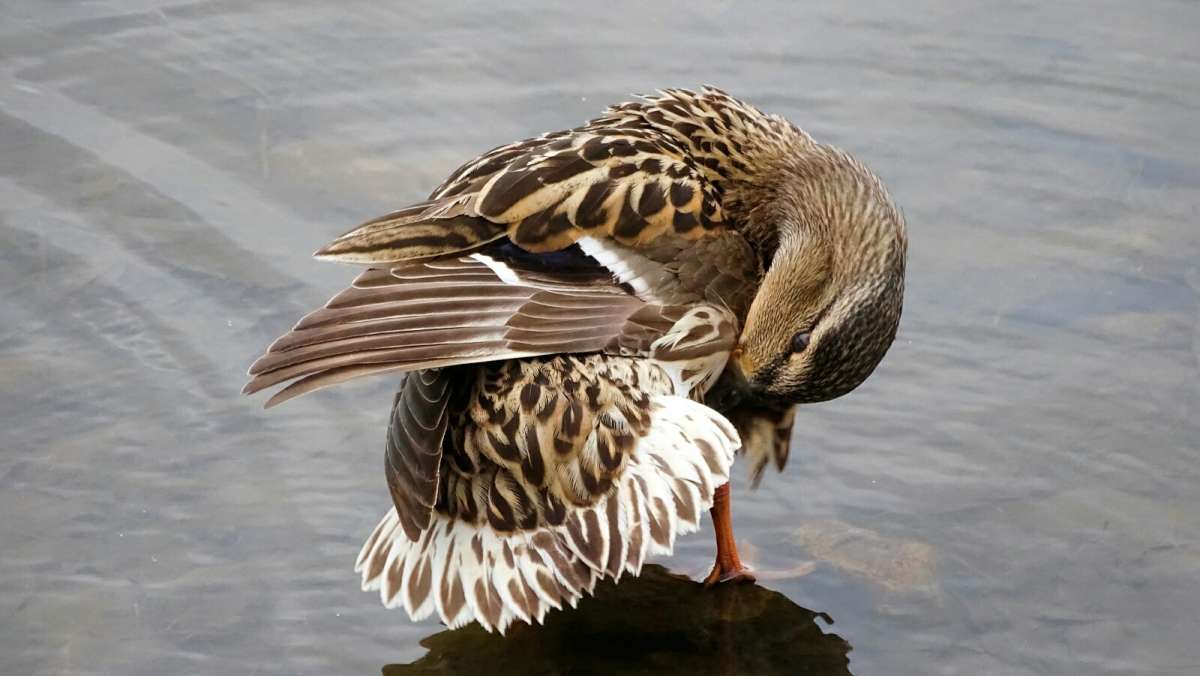 ������ ������ ������. ����� �������� �������� �� PhotoGeek.ru #����� #�������� ���