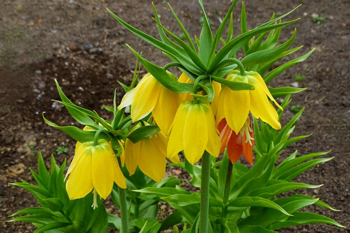 ������� �� ��������� ������. ����� �������� �������� �� PhotoGeek.ru #����� #�����