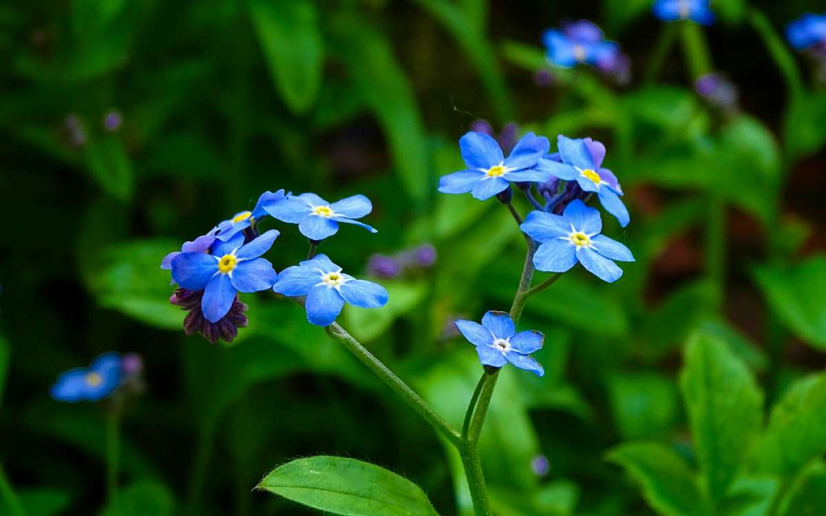 ������ ���������. ����� �������� �������� �� PhotoGeek.ru #�����