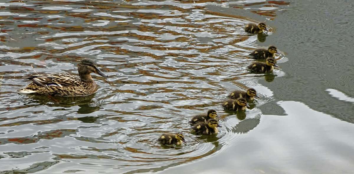 ���� ��������� �� ����. ����� �������� �������� �� PhotoGeek.ru #����� #�������� ���