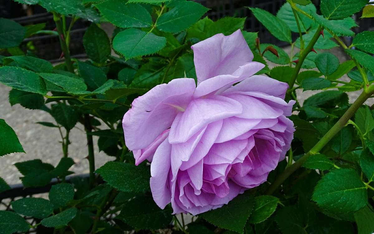 ��������� �����. ����� �������� �������� �� PhotoGeek.ru #����� #�����