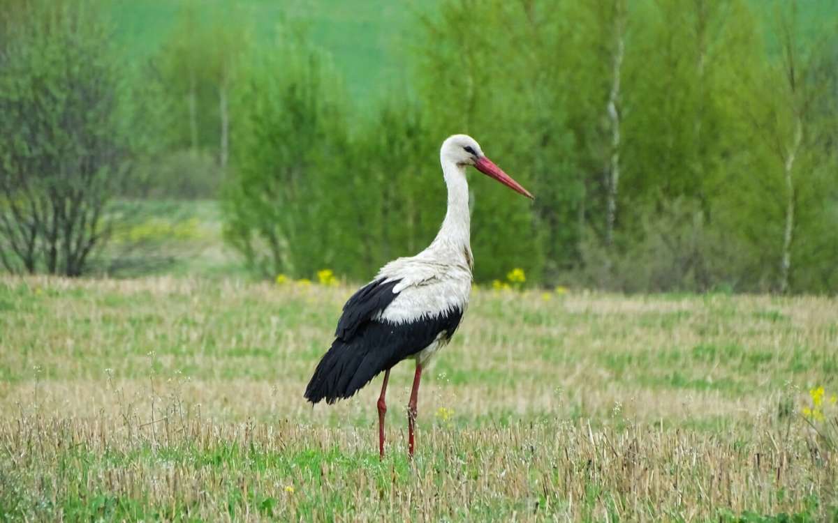 ��������� � ��������� ������� ����. ����� �������� �������� �� PhotoGeek.ru #�������� ���