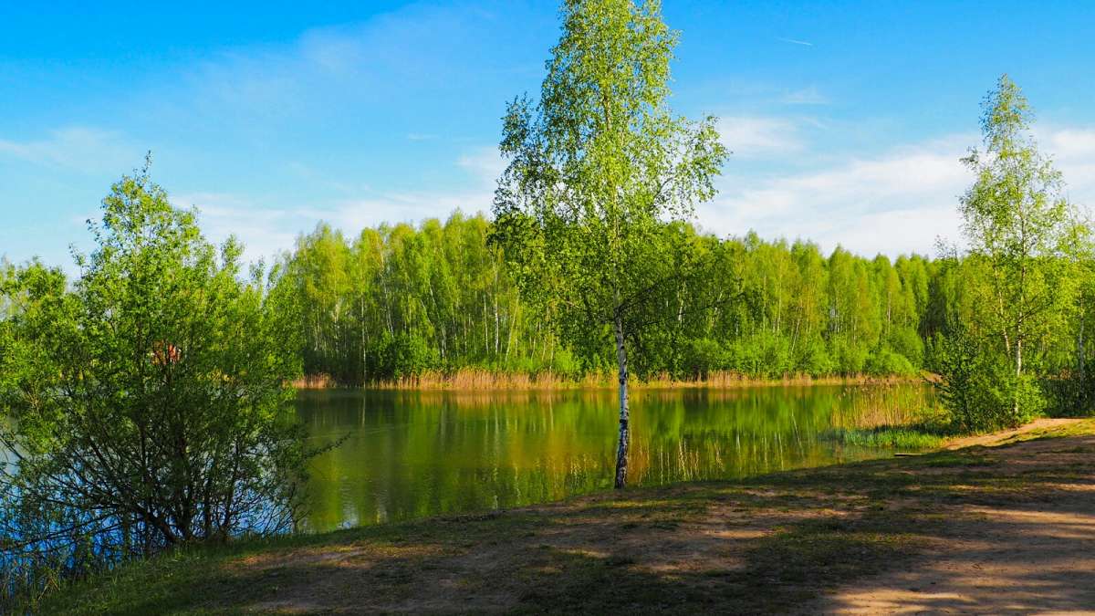 ������� ����� �� �����. ����� �������� �������� �� PhotoGeek.ru #������ ��� �������