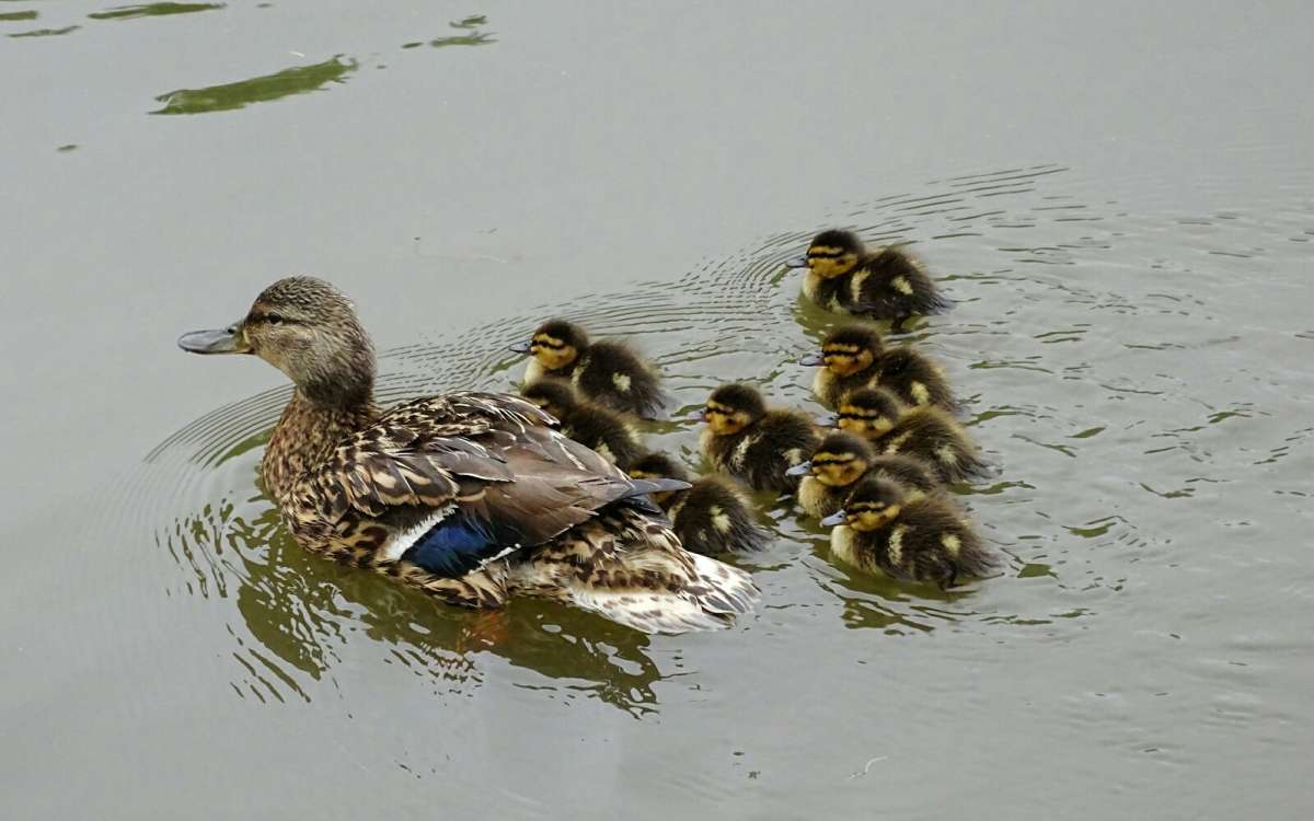 ������ �������. ����� �������� �������� �� PhotoGeek.ru #����� #�������� ���