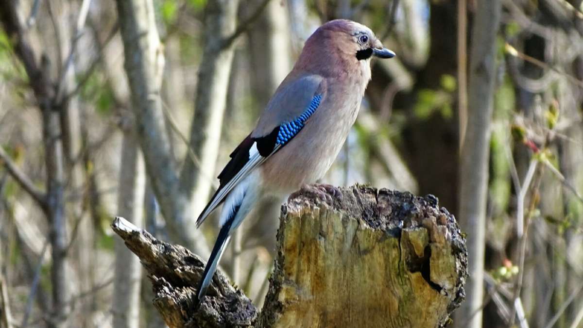 �����. ����� �������� �������� �� PhotoGeek.ru #����� #�������� ���