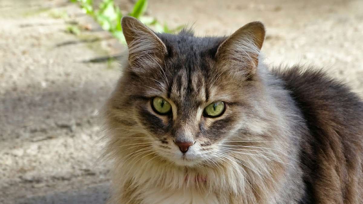 ������ ������. ����� �������� �������� �� PhotoGeek.ru #�������� ���