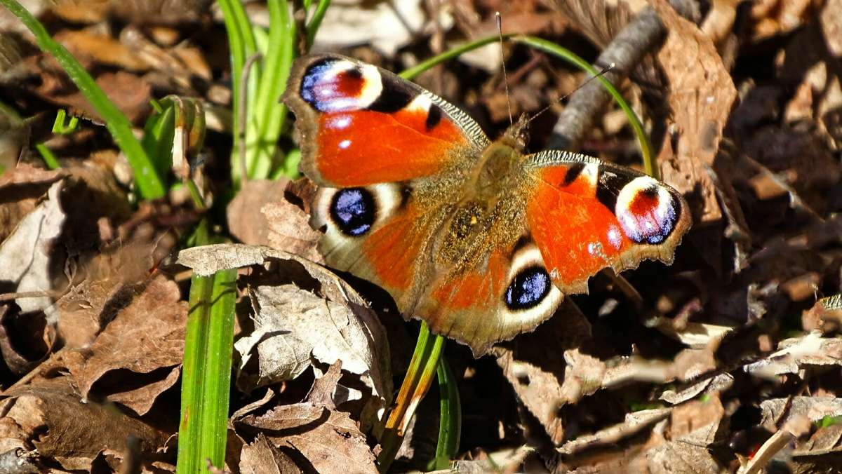 �������� ����. ����� �������� �������� �� PhotoGeek.ru #����� #�������� ��� #������ ��� �������