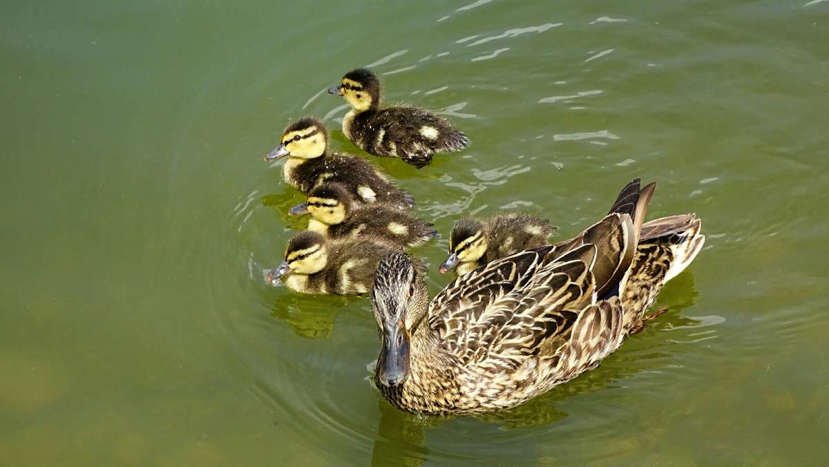 ������ � ��������. ����� �������� �������� �� PhotoGeek.ru #����� #�������� ���