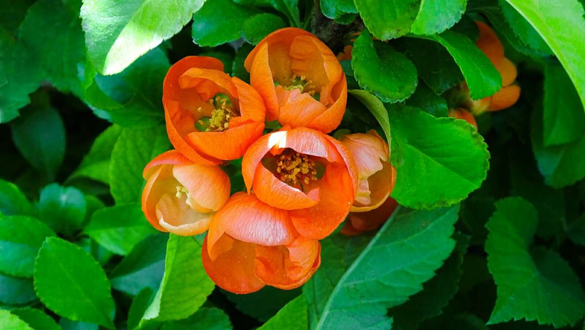 ����� �������� ����. ����� �������� �������� �� PhotoGeek.ru #����� #�����