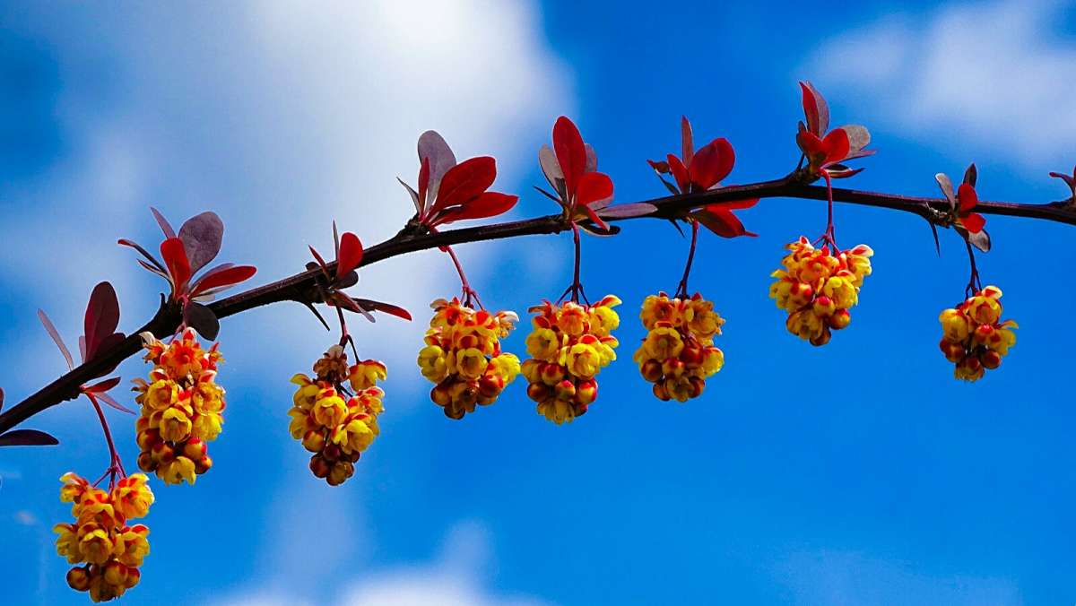 �������� ���. ����� �������� �������� �� PhotoGeek.ru #����� #����� #������ ��� �������