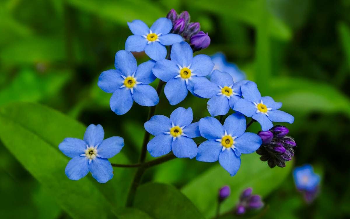 ��������� � ������. ����� �������� �������� �� PhotoGeek.ru #����� #�����