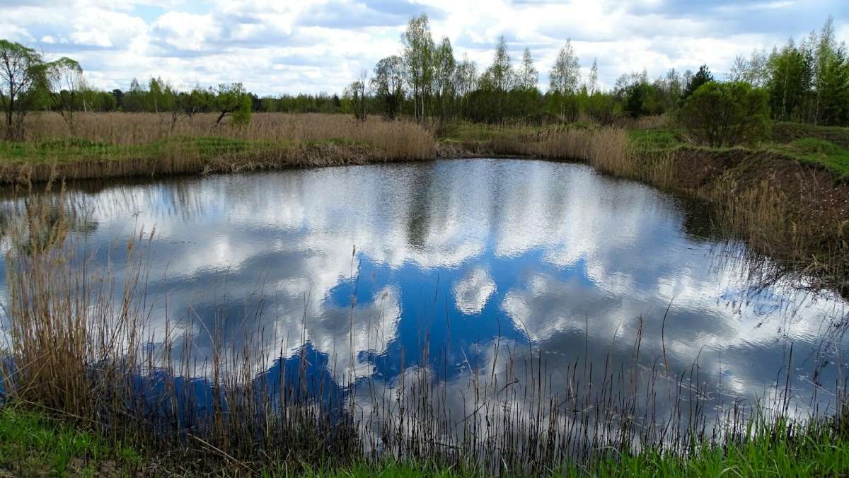 ������ � ���������� ���������. ����� �������� �������� �� PhotoGeek.ru #������ ��� �������