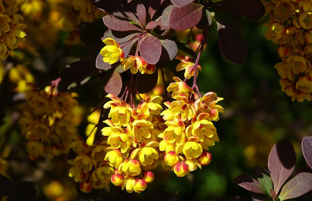����� ���������. ����� �������� �������� �� PhotoGeek.ru #����� #�����