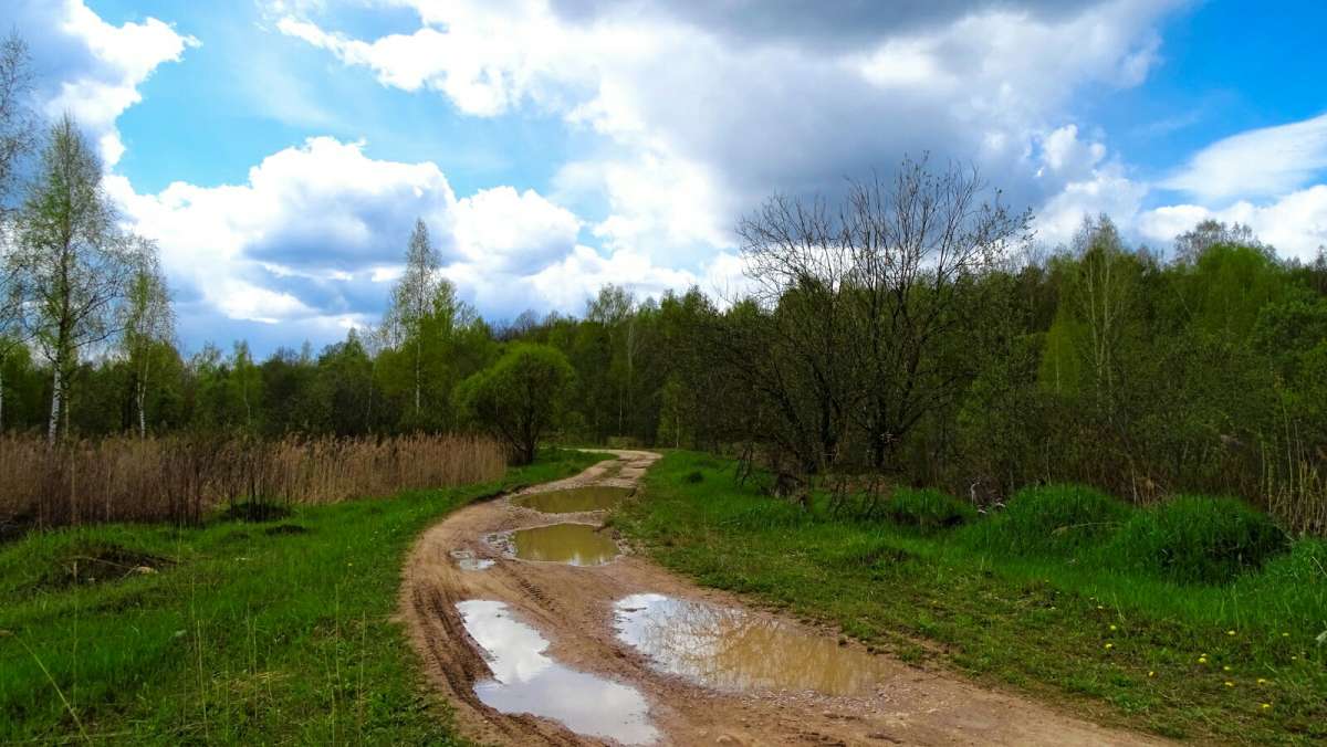������ ������� � ������ ������. ����� �������� �������� �� PhotoGeek.ru #������ ��� �������