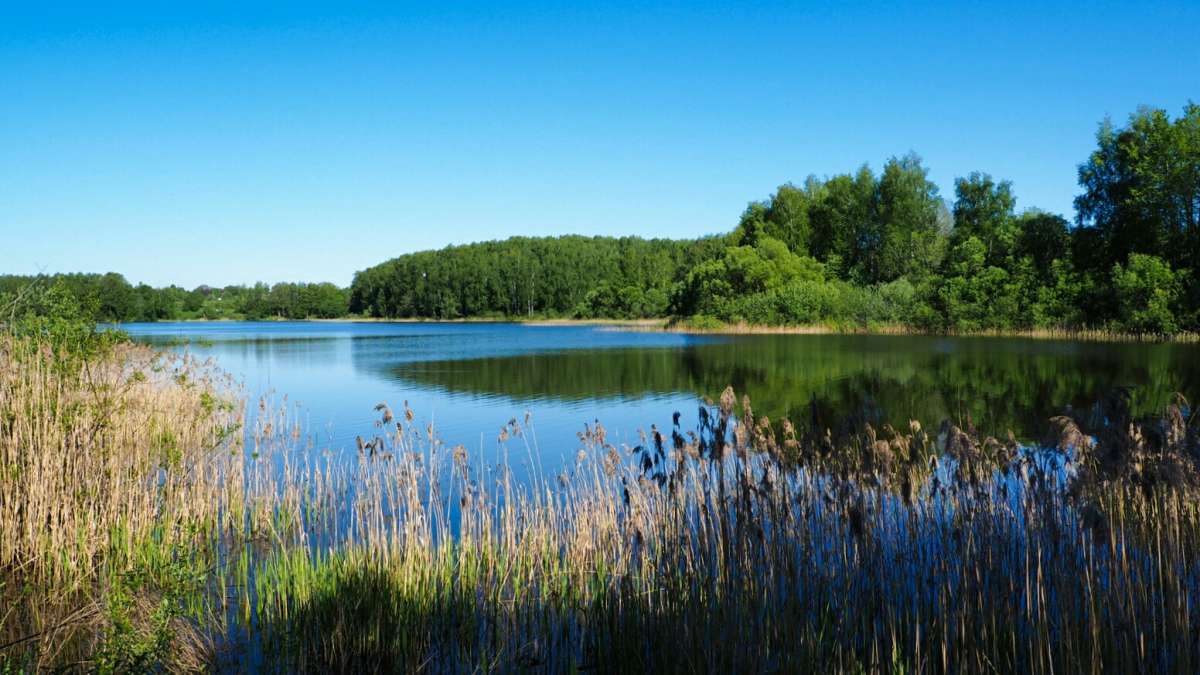 ��� ����. ����� �������� �������� �� PhotoGeek.ru #������ ��� �������