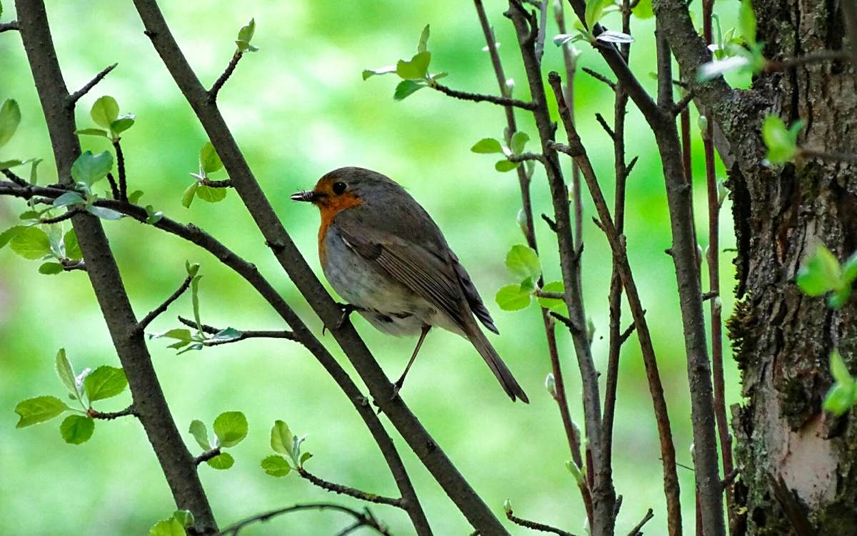 �������. ����� �������� �������� �� PhotoGeek.ru #�������� ���