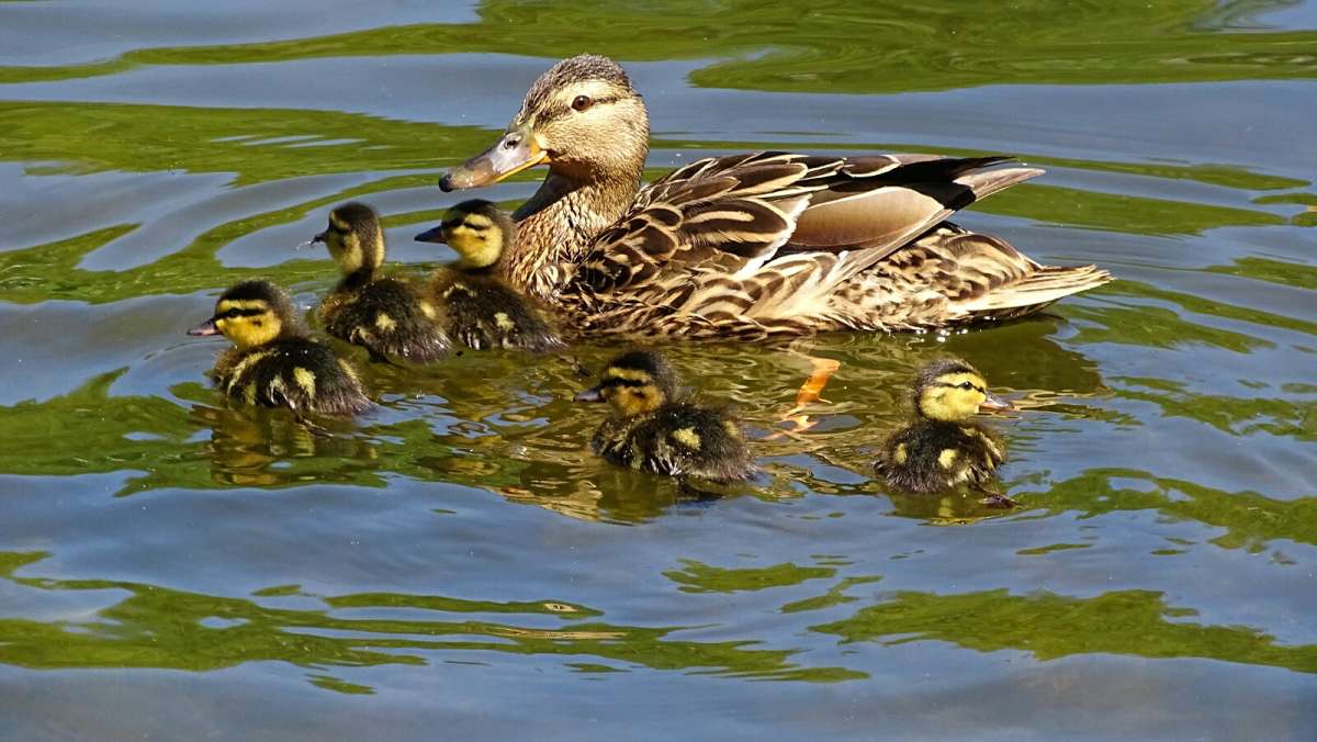 ������ � ��������. ����� �������� �������� �� PhotoGeek.ru #����� #�������� ���