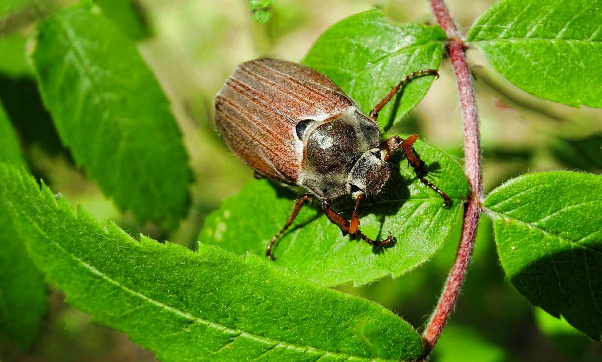 ������� ���. ����� �������� �������� �� PhotoGeek.ru #����� #�������� ���