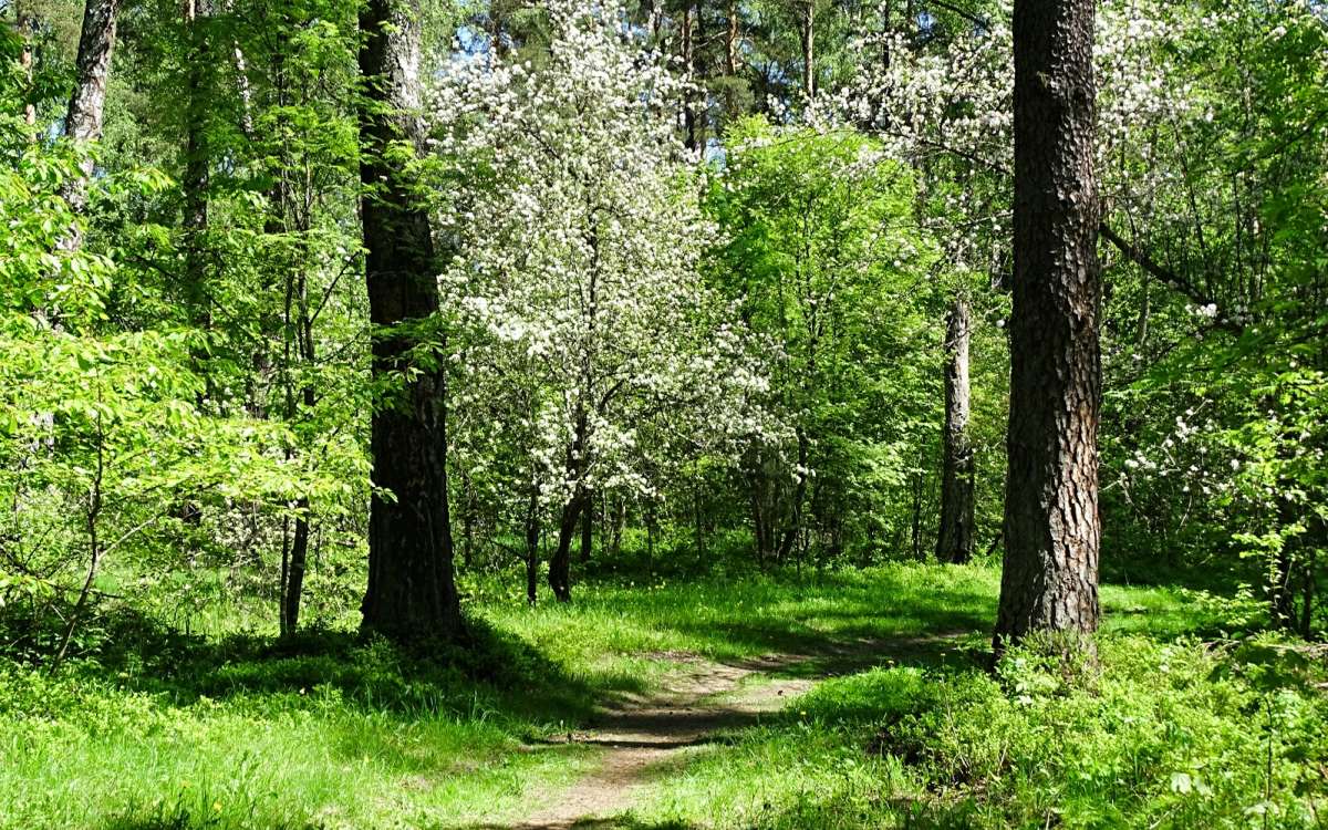 ������� ���. ����� �������� �������� �� PhotoGeek.ru #������ ��� �������