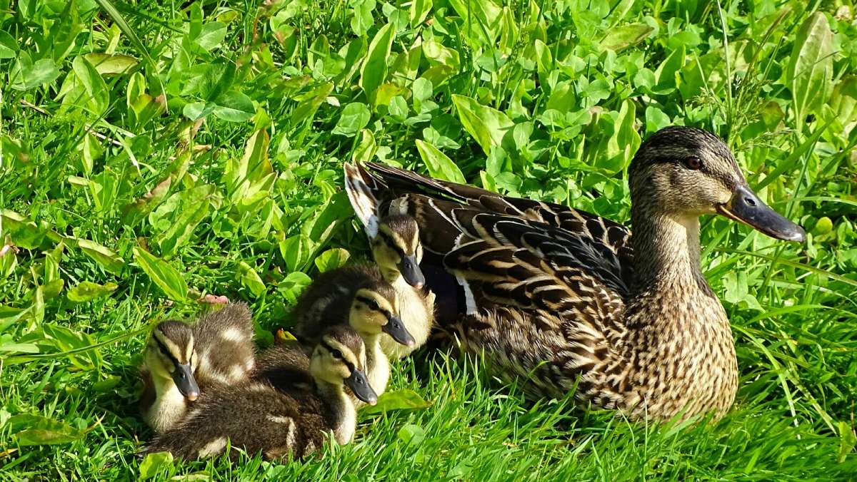 ������ � ��������. ����� �������� �������� �� PhotoGeek.ru #����� #�������� ���