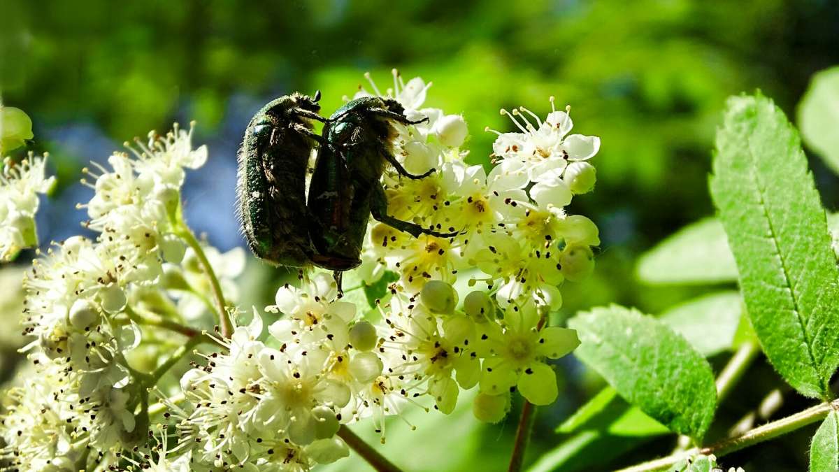 ����������� ���� � ���������. ����� �������� �������� �� PhotoGeek.ru #����� #�������� ���