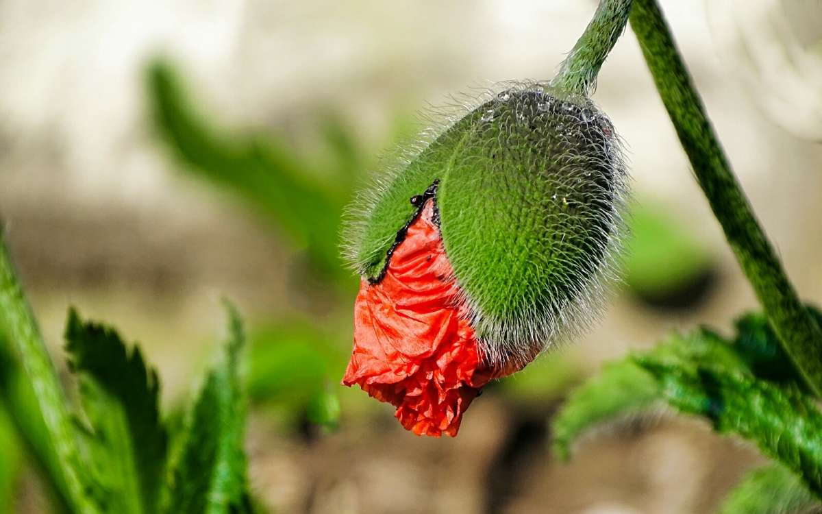 �������� ����. ����� �������� �������� �� PhotoGeek.ru #����� #�����