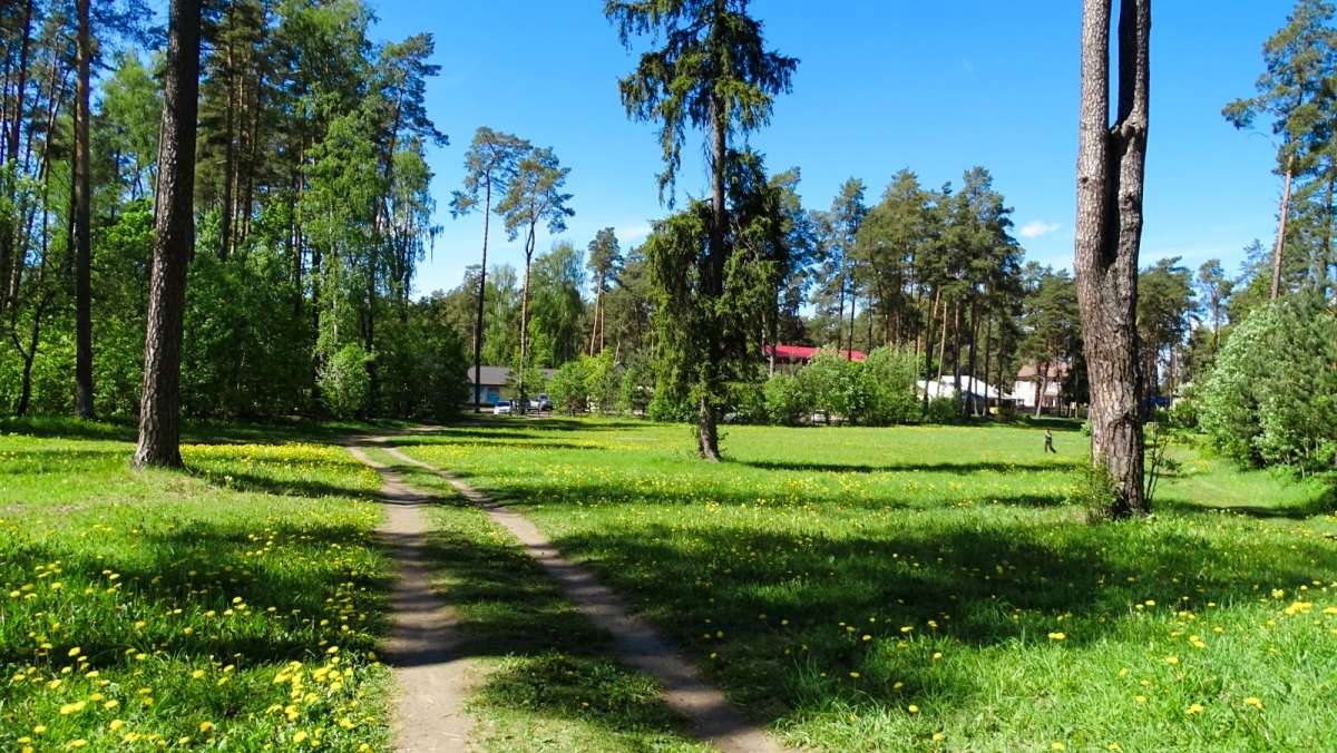 ���� - �������� ���� � ��������� ���������. ����� �������� �������� �� PhotoGeek.ru #������ ��� �������