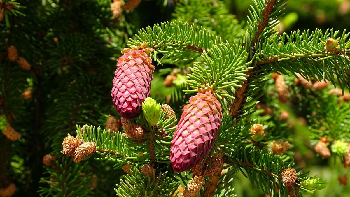 ������ �����. ����� �������� �������� �� PhotoGeek.ru #����� #������ ��� �������