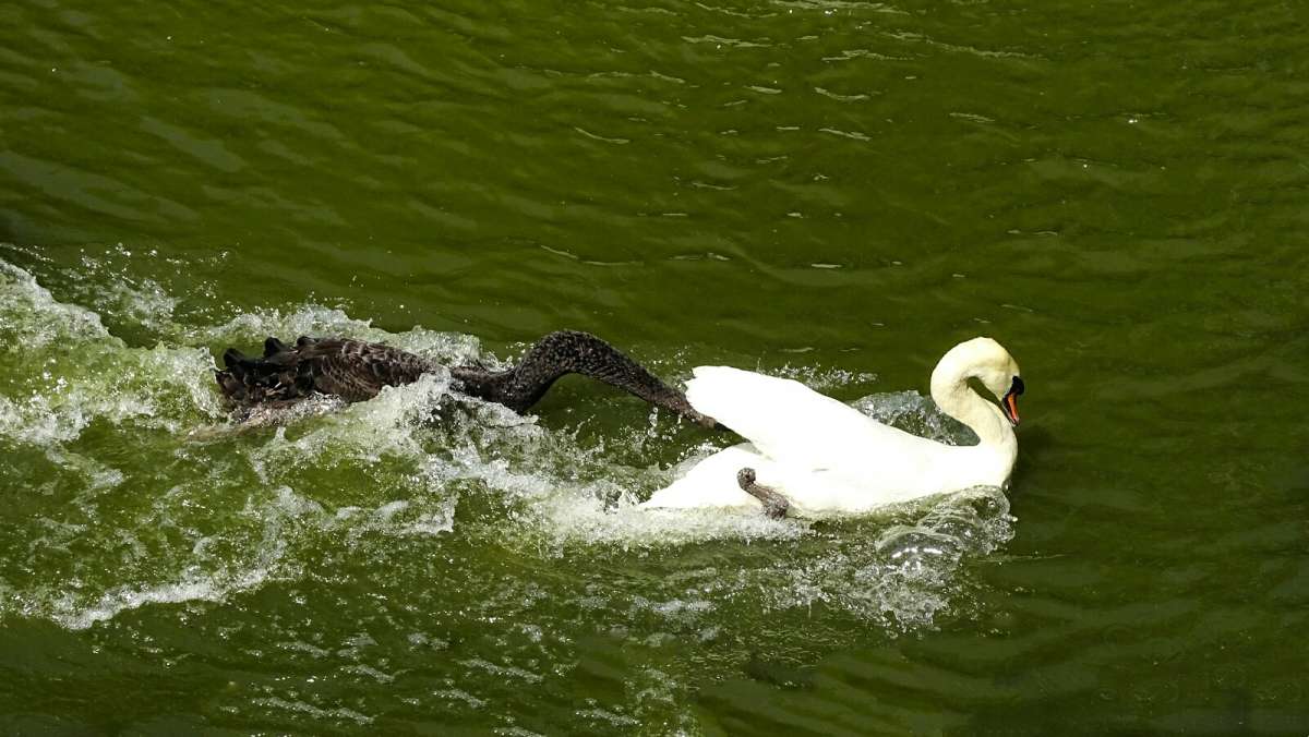 ��������� ��������� ����� ������ � ����� �������� ����� �������� �������� �� PhotoGeek.ru #����� #�������� ���