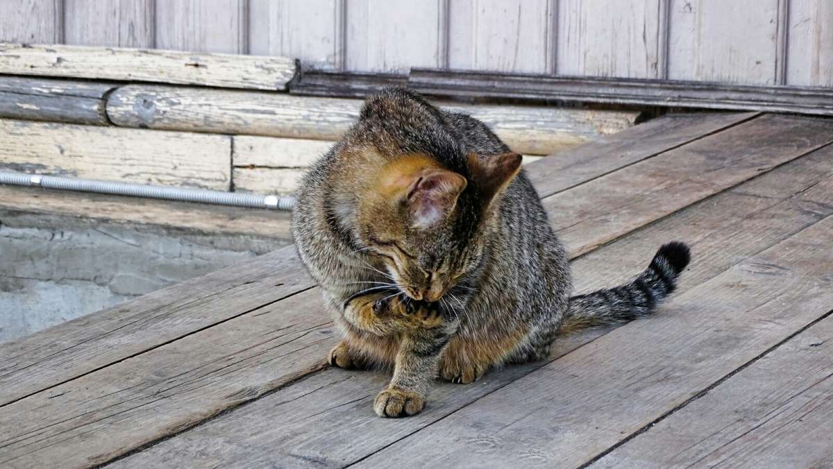 ����� ����� ���� - � ������. ����� �������� �������� �� PhotoGeek.ru #�������� ���