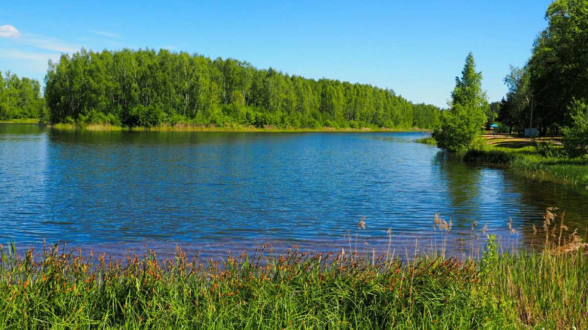 �������� ����������. ����� �������� �������� �� PhotoGeek.ru #������ ��� �������
