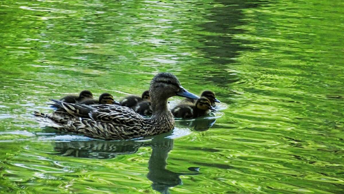 ������ � ��������. ����� �������� �������� �� PhotoGeek.ru #����� #�������� ���